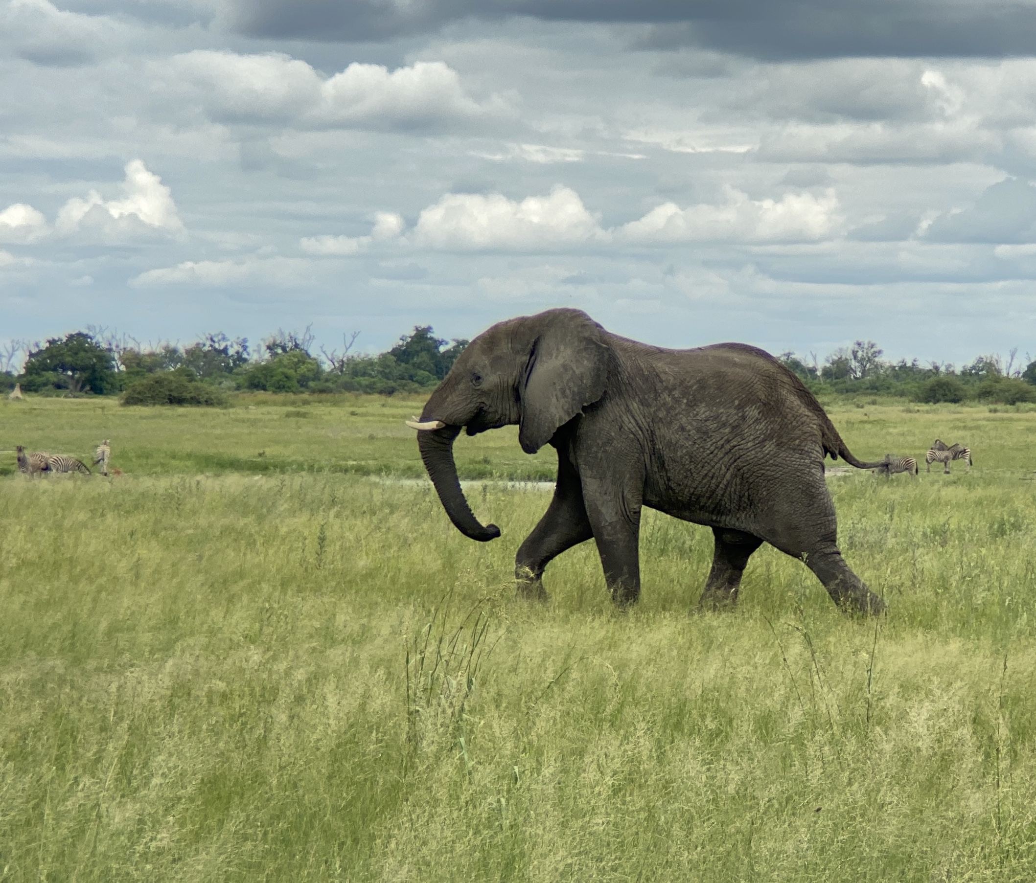 Botswana – Self Guided Safari & Victoria Falls