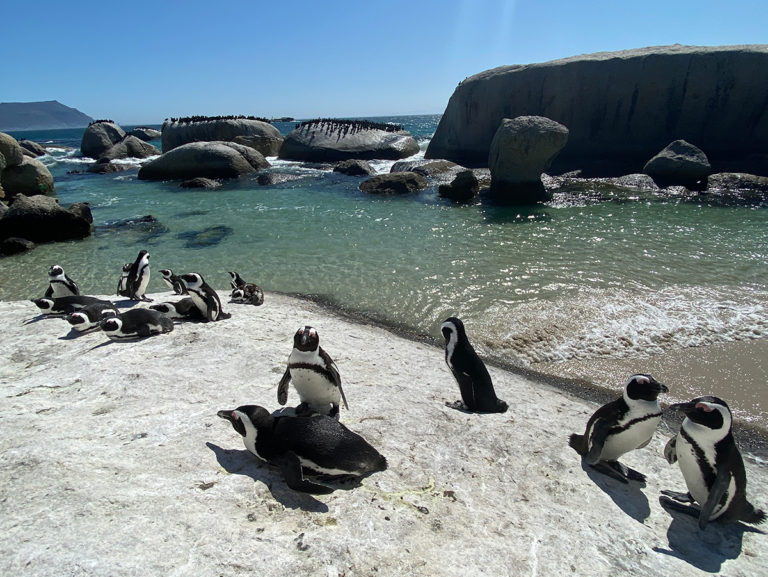 South Africa Part I – Cape Town, Western Cape