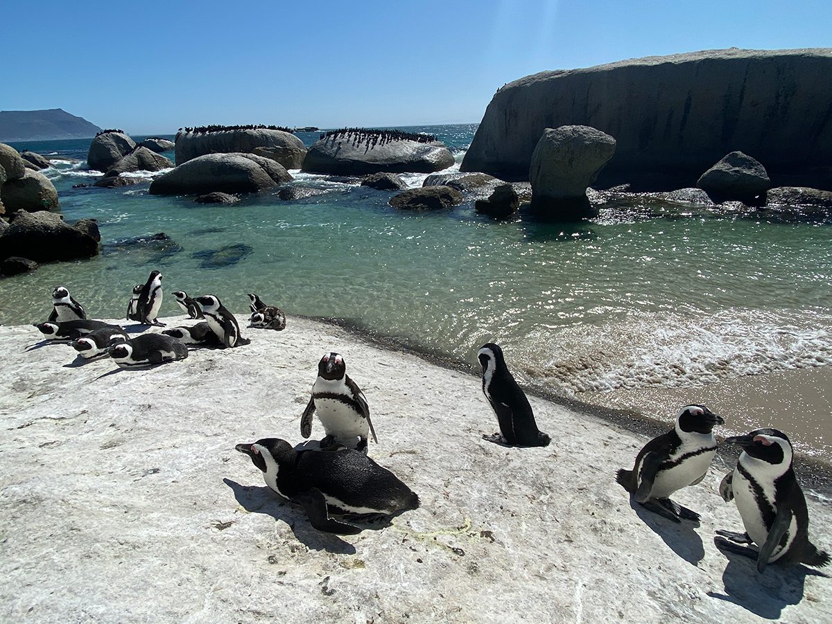 South Africa Part I – Cape Town, Western Cape