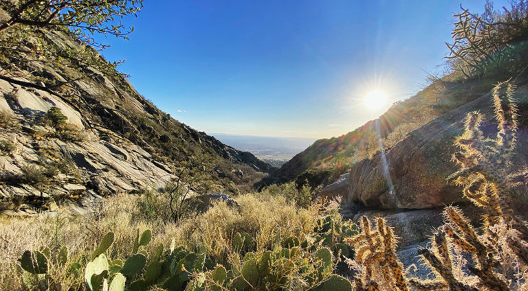 Albuquerque, New Mexico